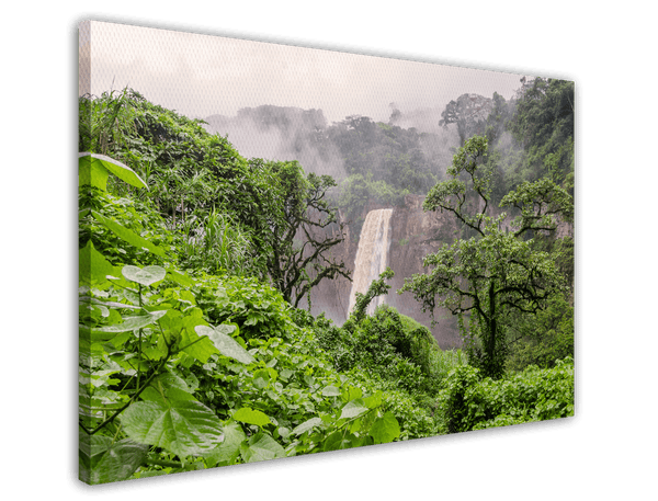 Asiatischer Regenwald