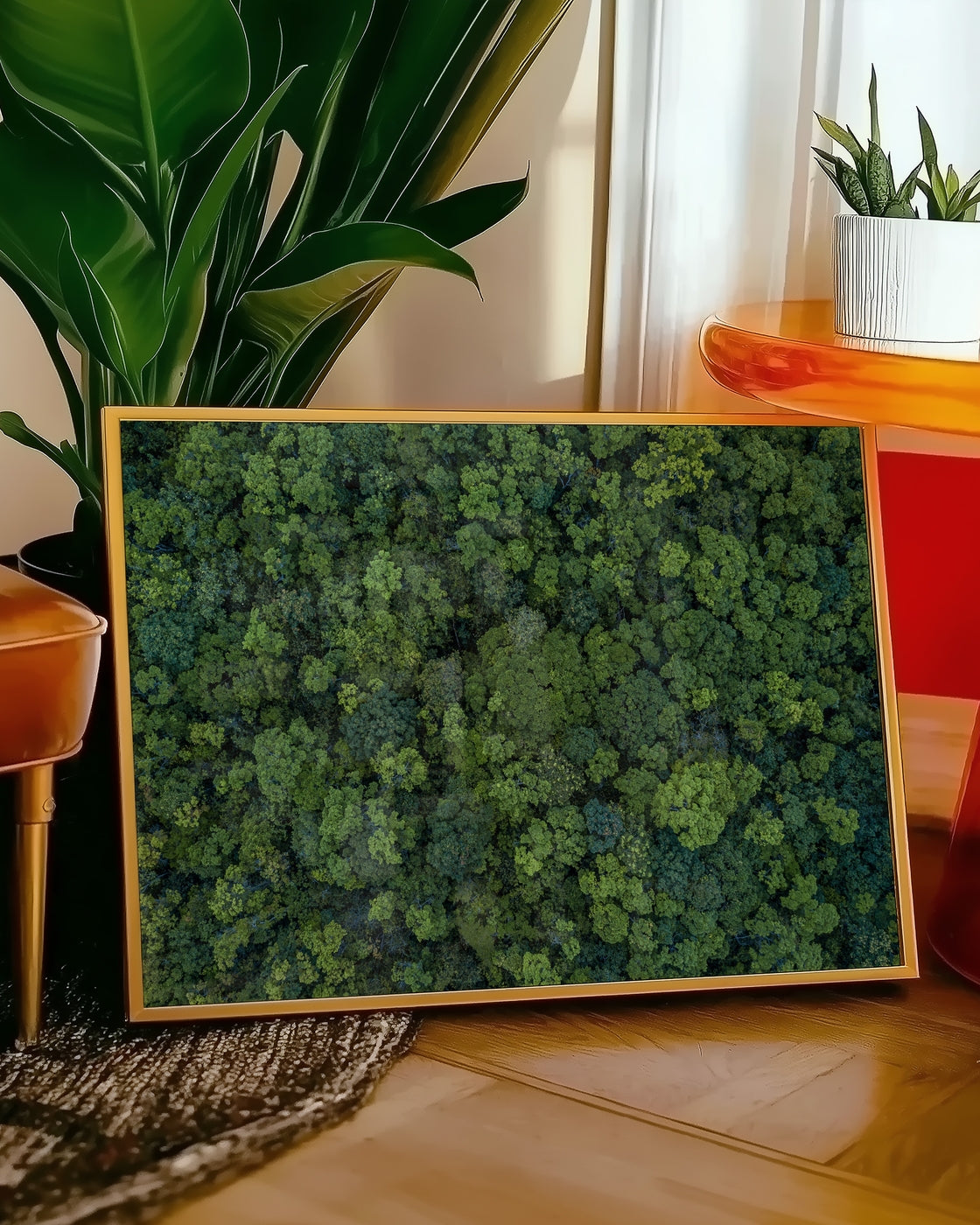 canvas