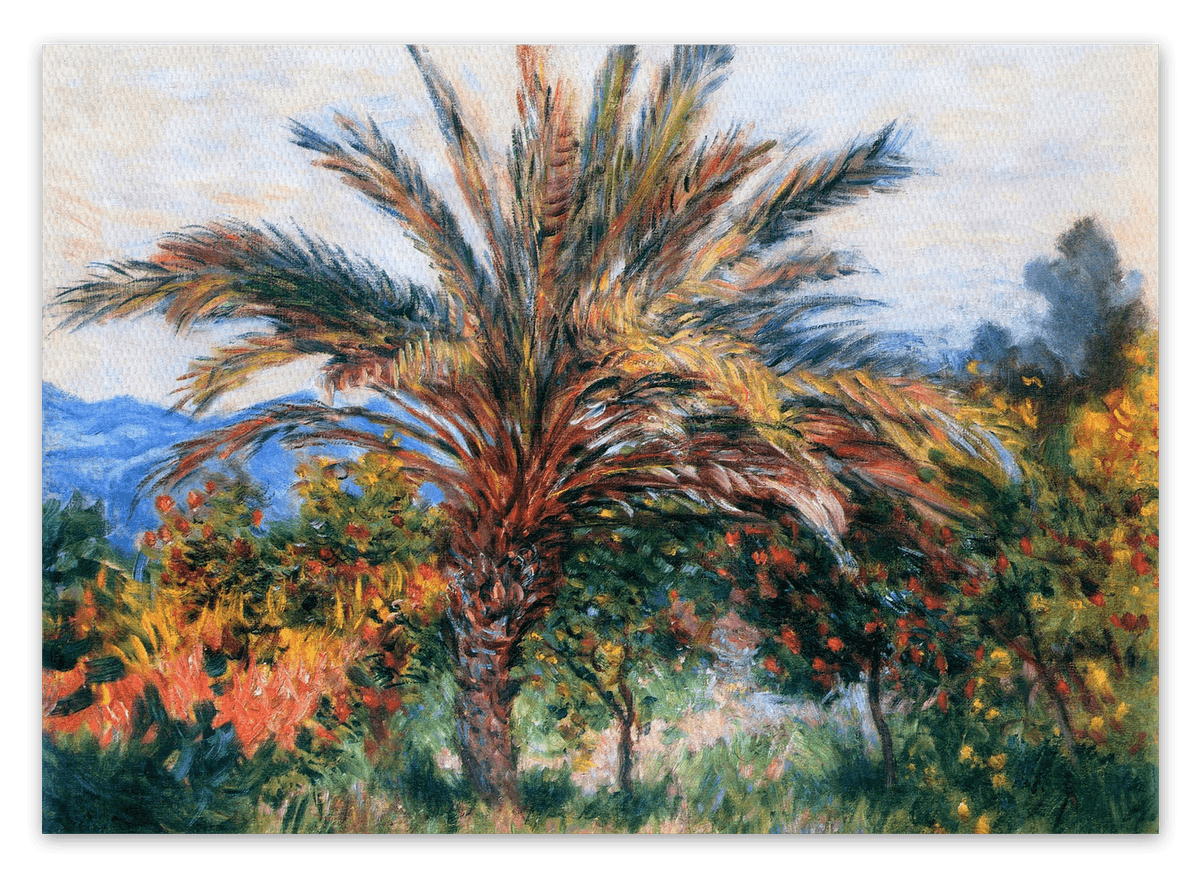 canvas