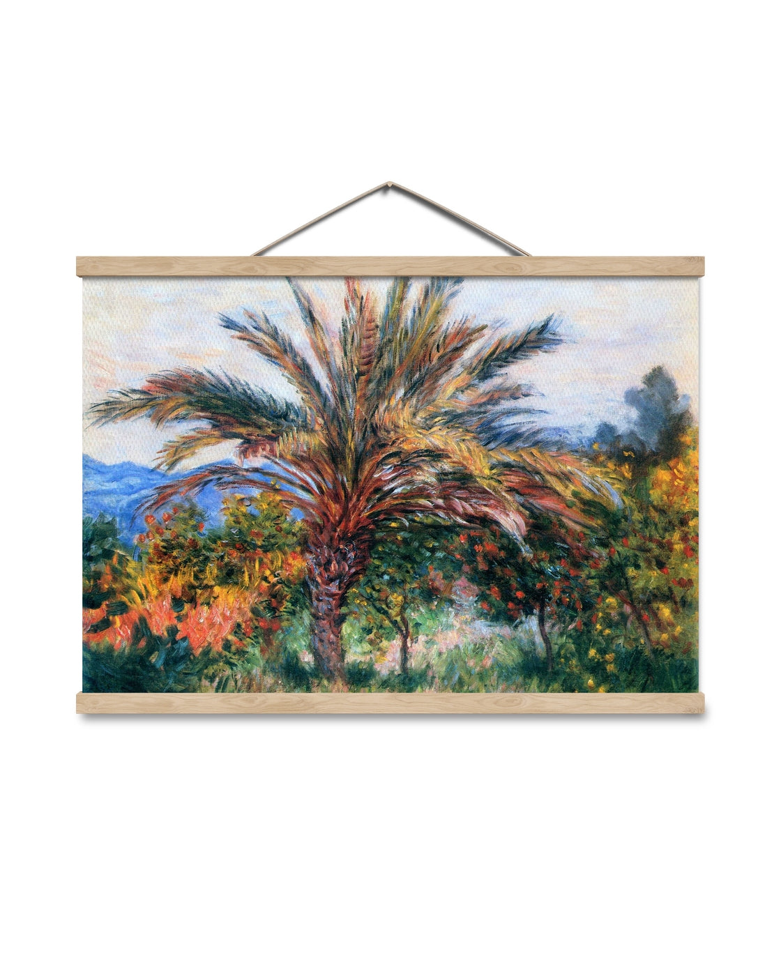 canvas