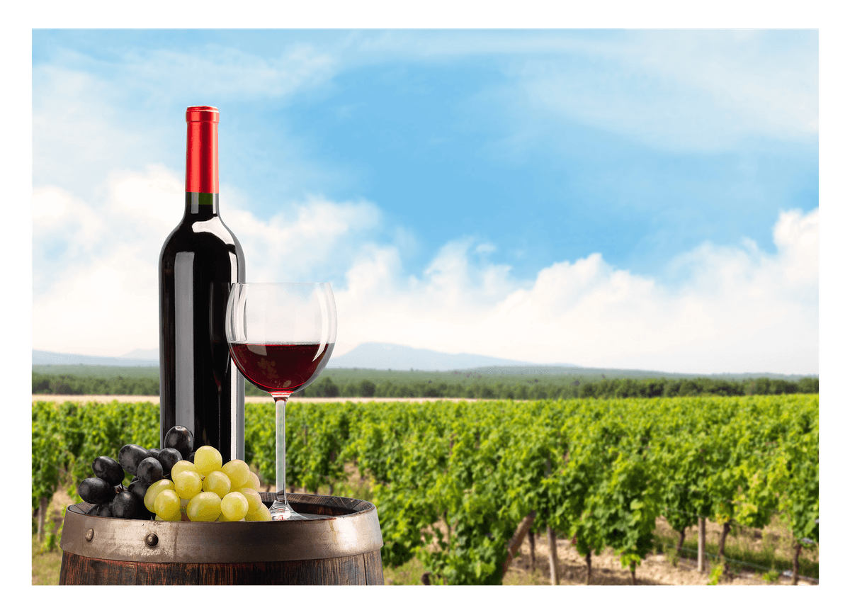 Weinflasche im Weinbaugebiet mit Trauben