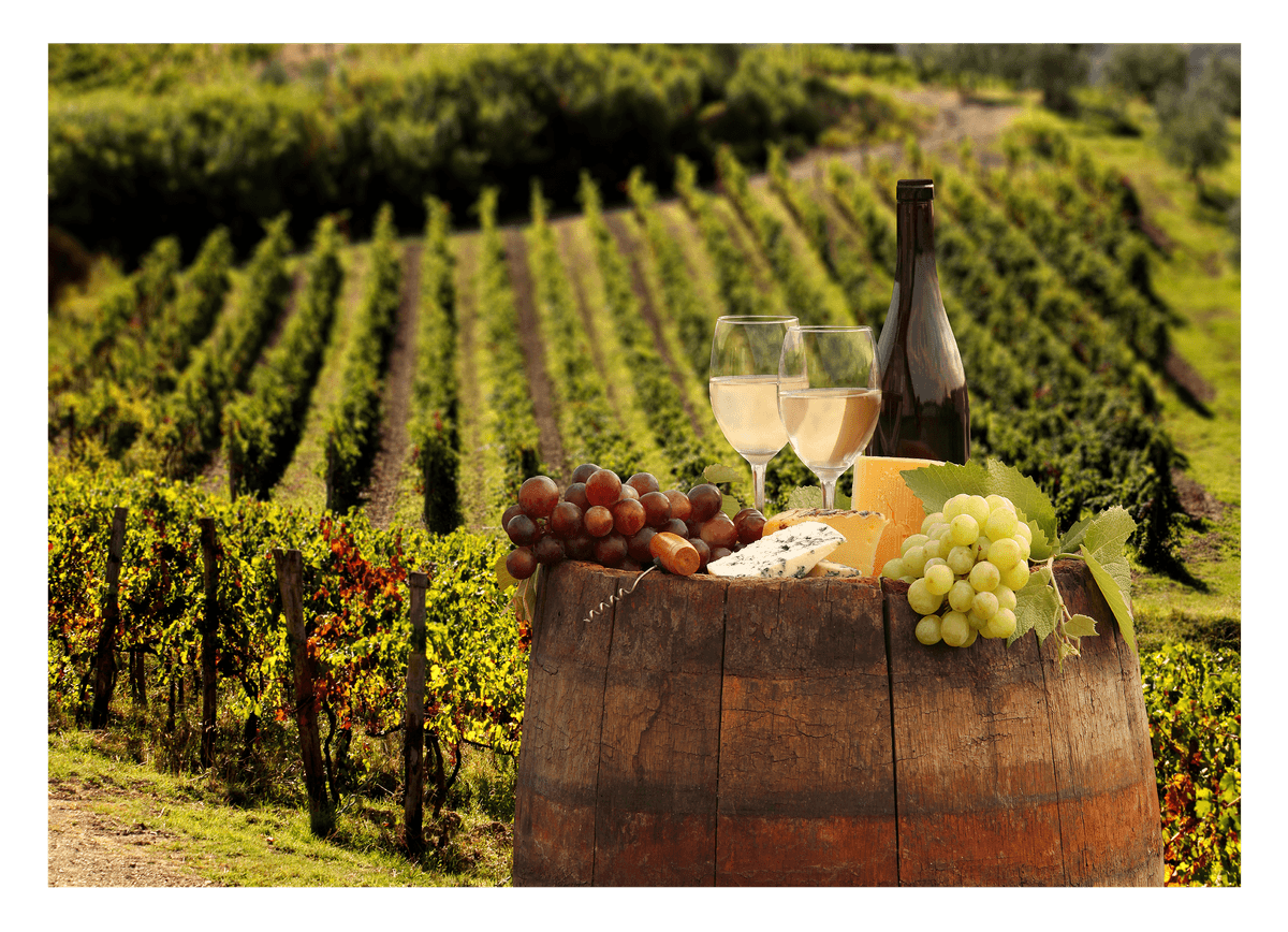 Weinflasche und Gläser im Weinbaugebiet - Idyllisches Ambiente