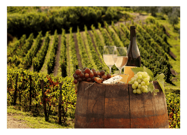 Weinflasche und Gläser im Weinbaugebiet - Idyllisches Ambiente