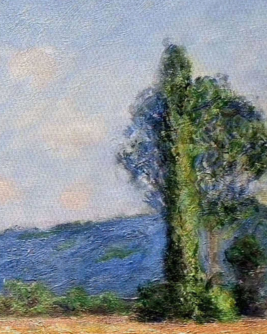 canvas