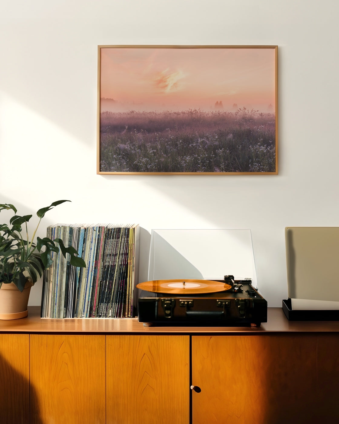 canvas
