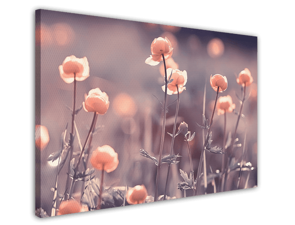 Blumen - Nahaufnahme