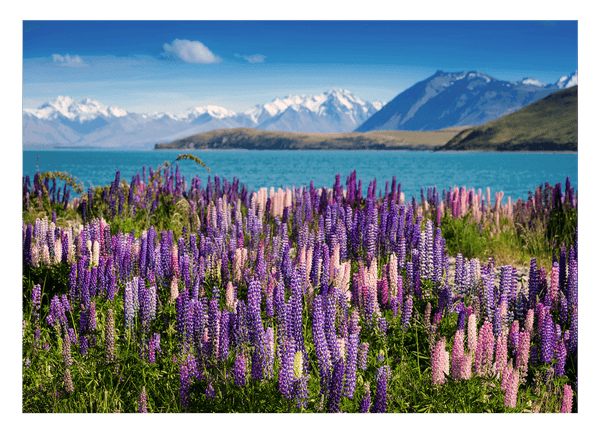 Blumenwiese in blauer Bergsee-Landschaft