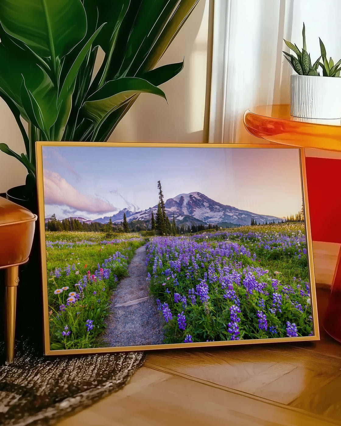 canvas