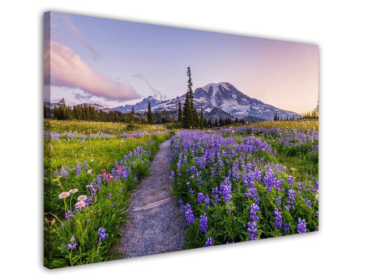 stretched-canvas