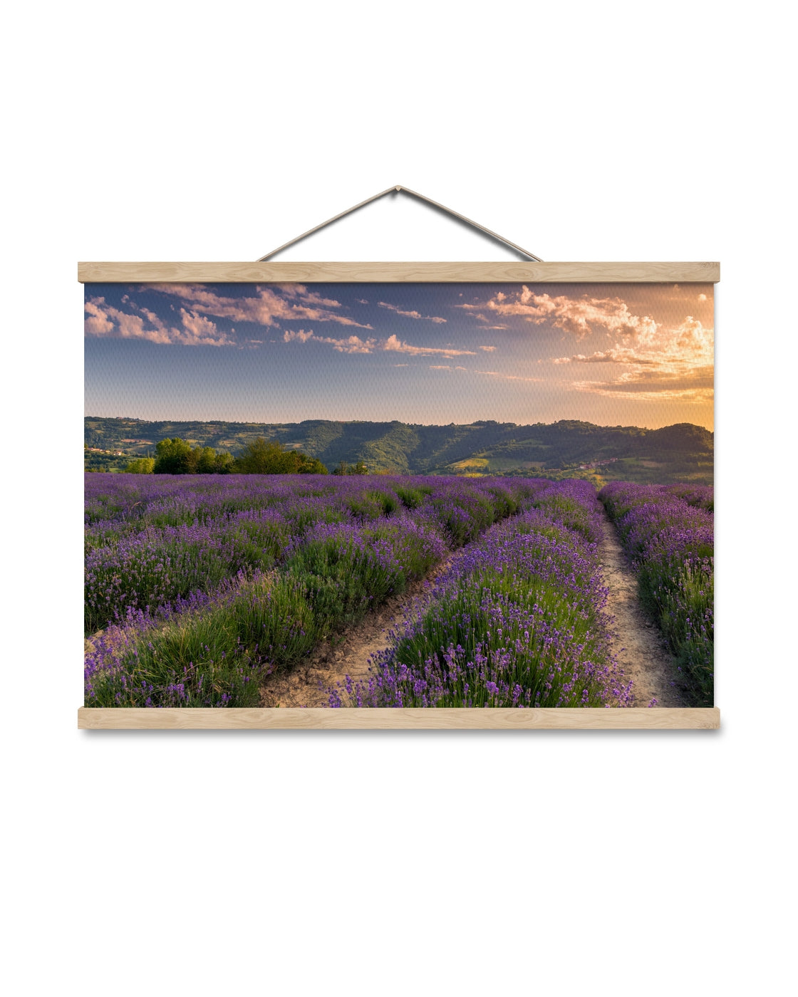 canvas