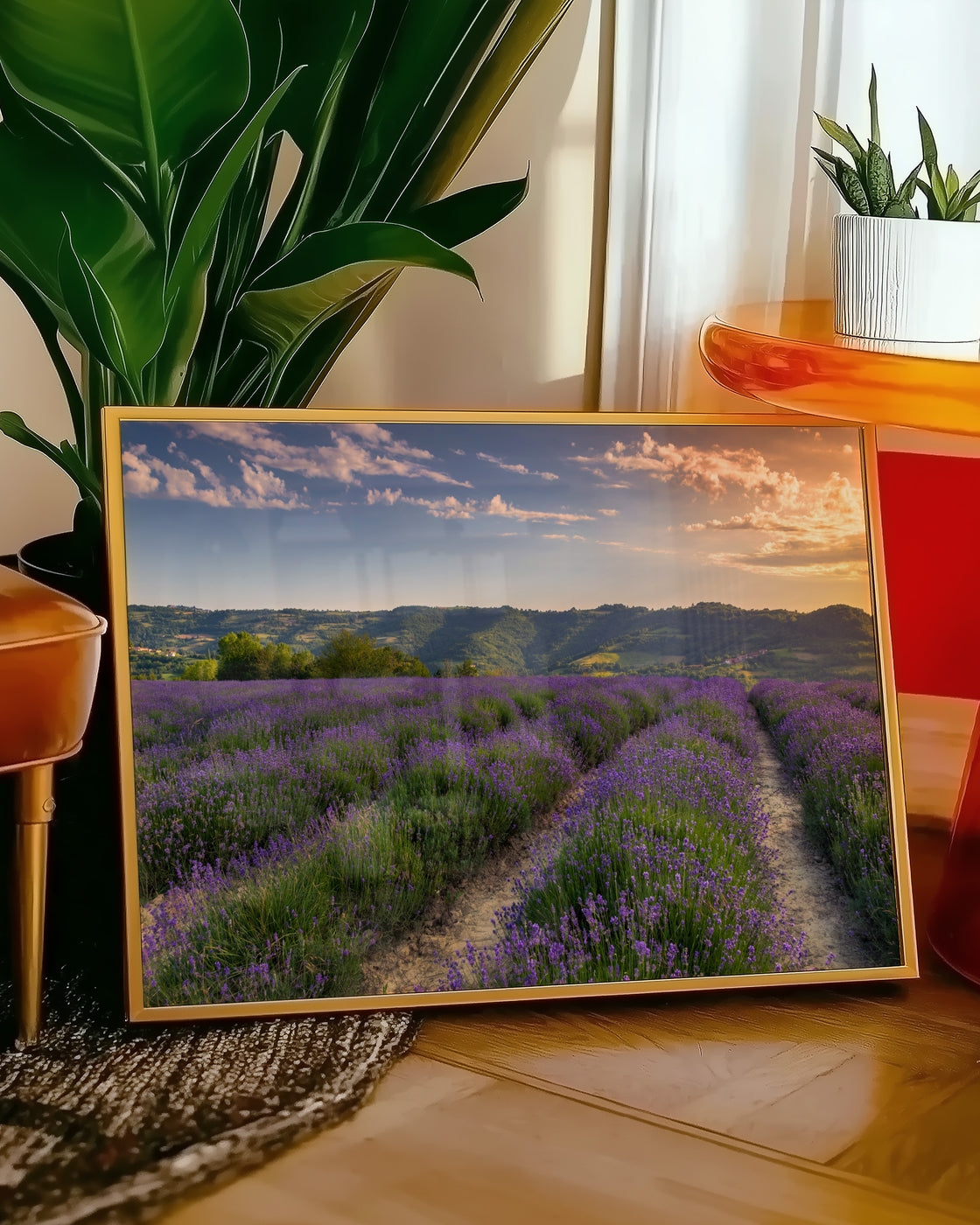 canvas