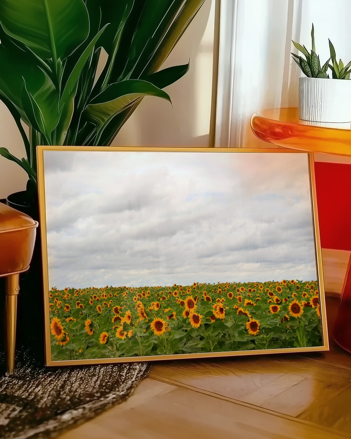 canvas