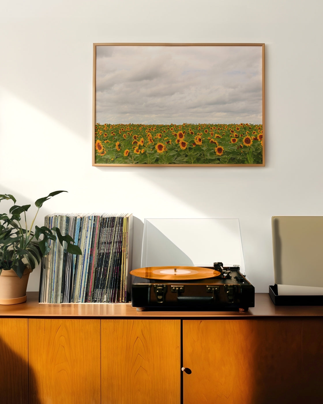 canvas