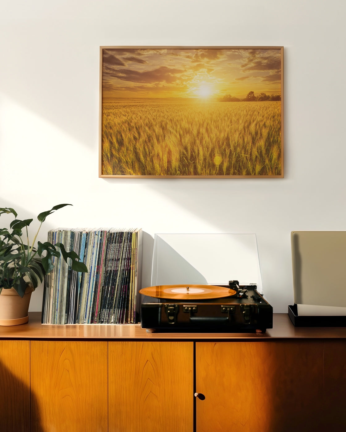 canvas