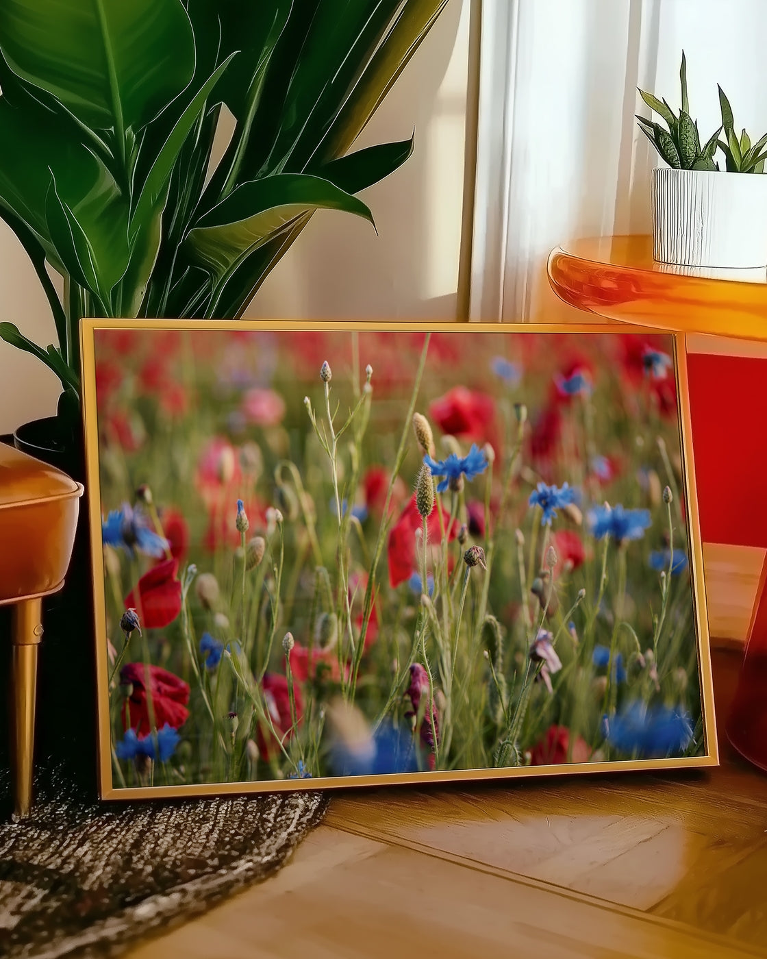 canvas