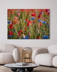 After Hover: Blumenwiese