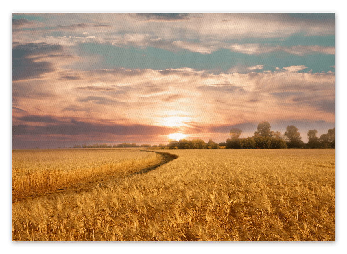 canvas
