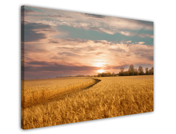 Sommer-Feld