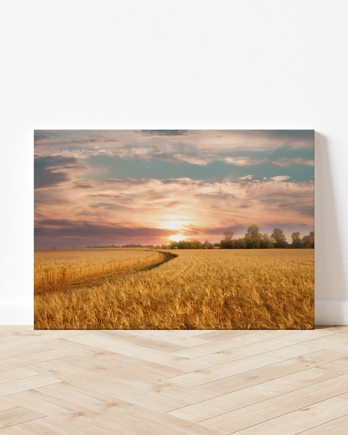 stretched-canvas
