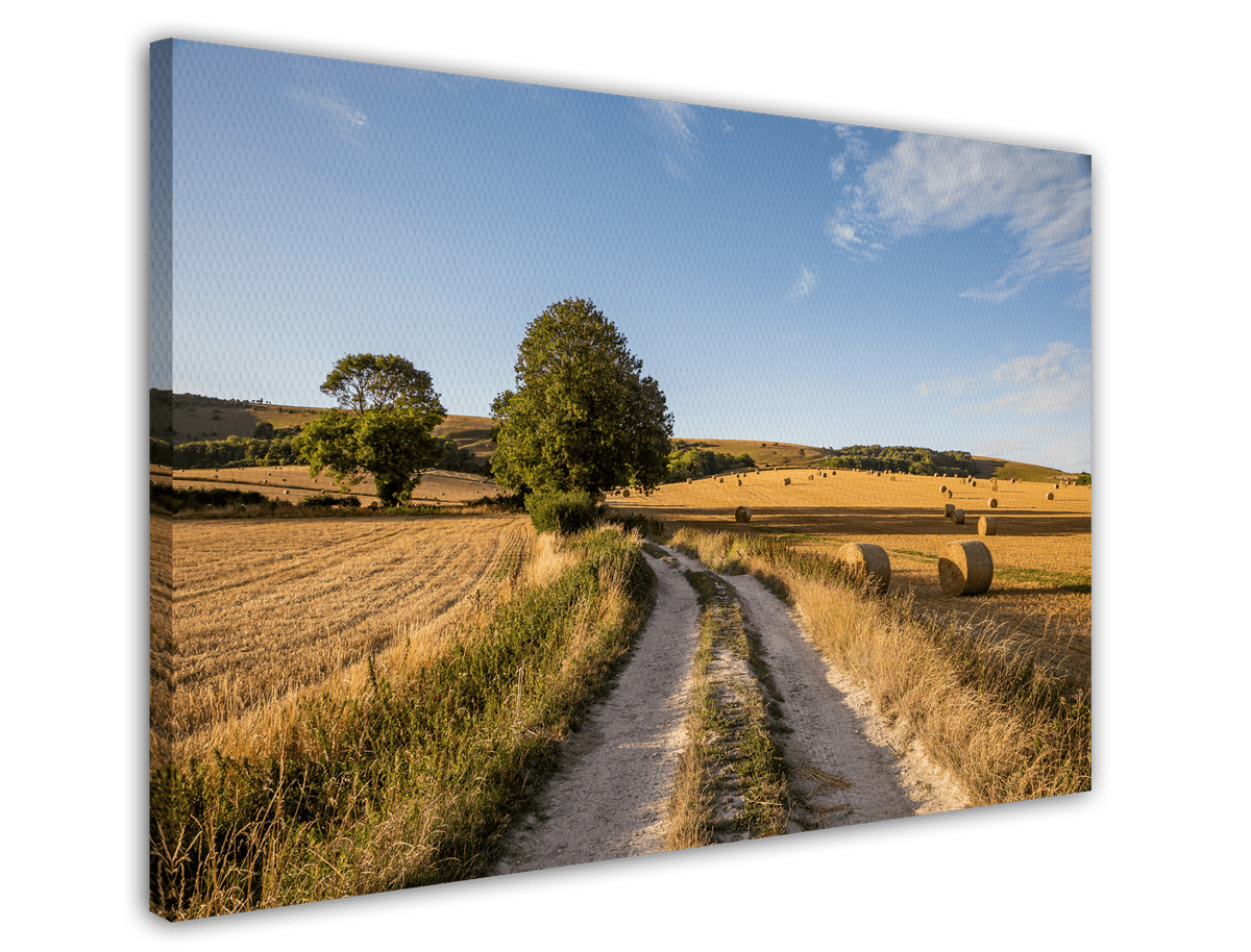 stretched-canvas