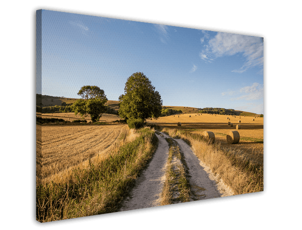 Sommer-Feld