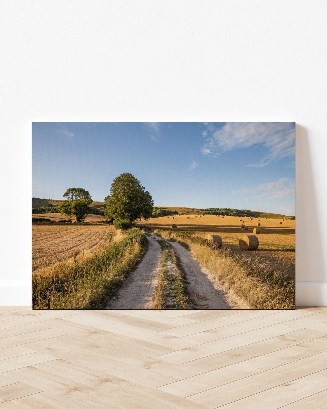 stretched-canvas