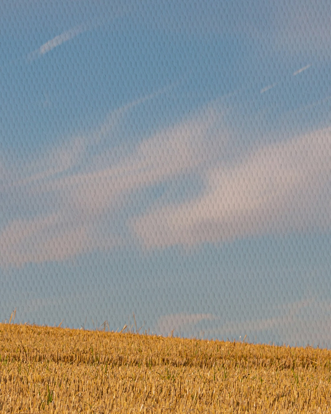canvas