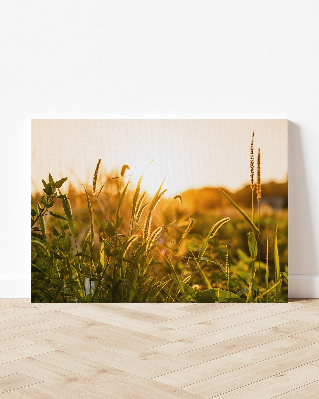 stretched-canvas