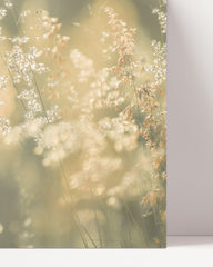 After Hover: Gräser und Blumen - Nahaufnahme