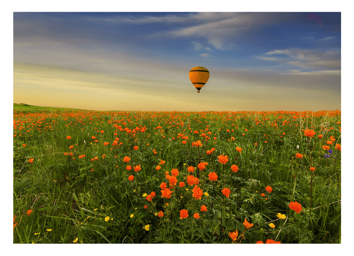 Heißluftballon über einer Blumenwiese