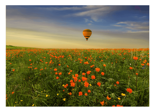 Heißluftballon über einer Blumenwiese
