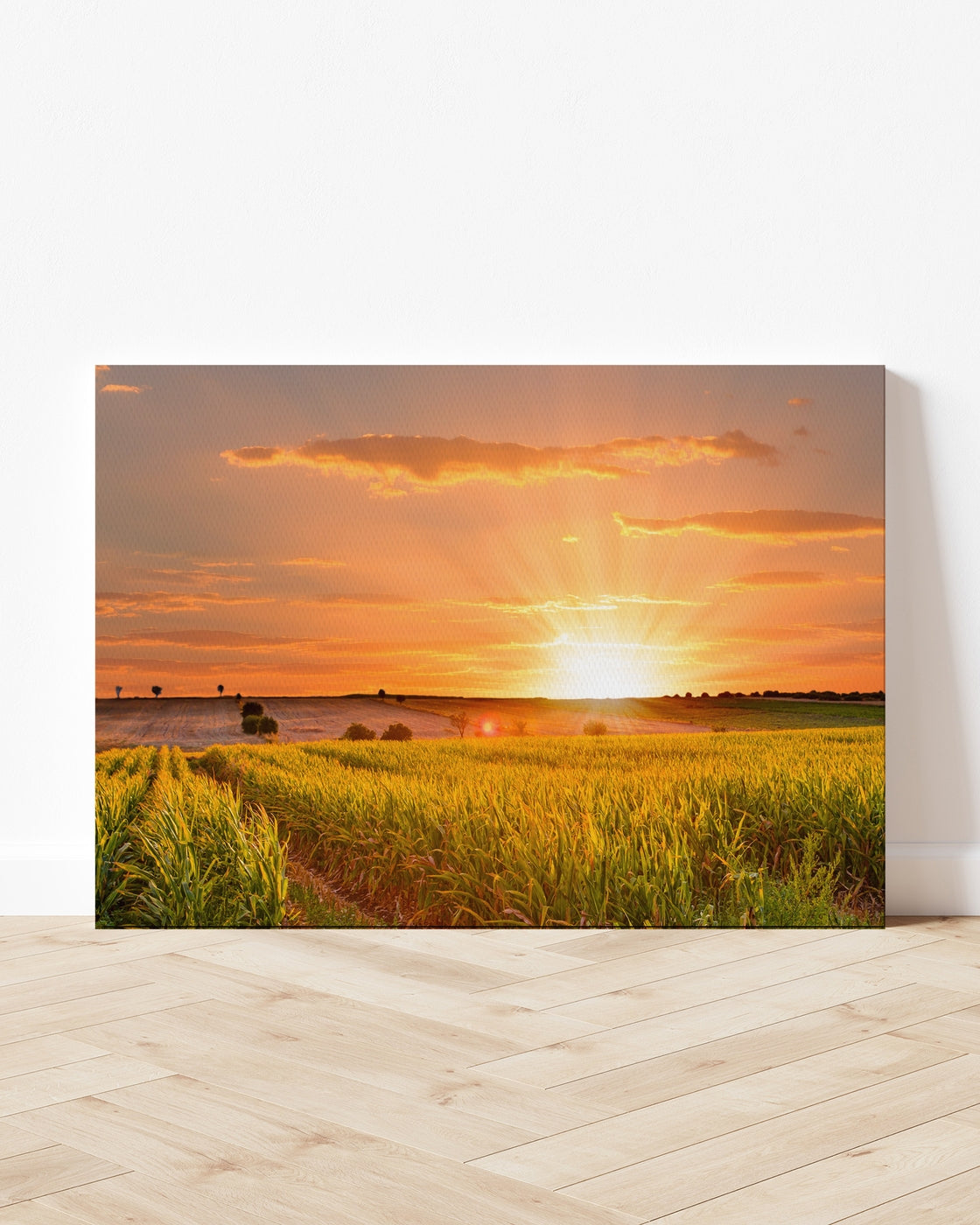 stretched-canvas