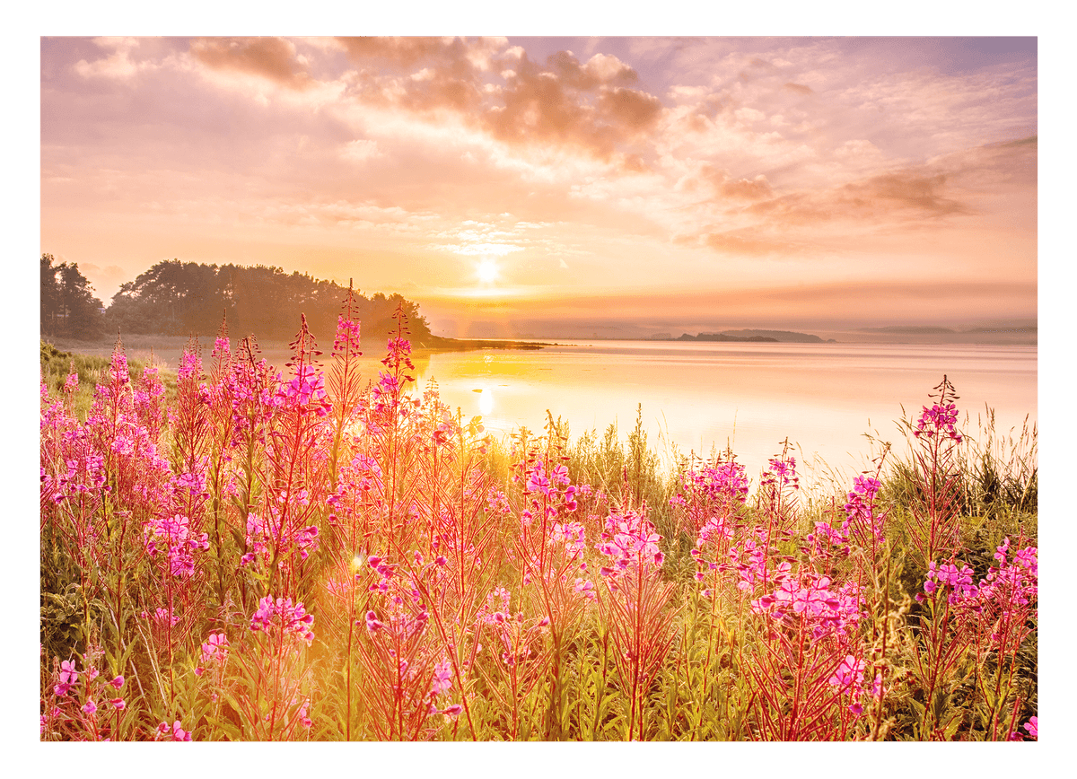 Blumen am See