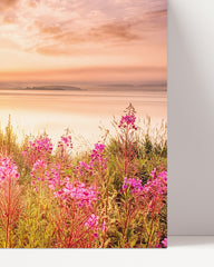 After Hover: Blumen am See