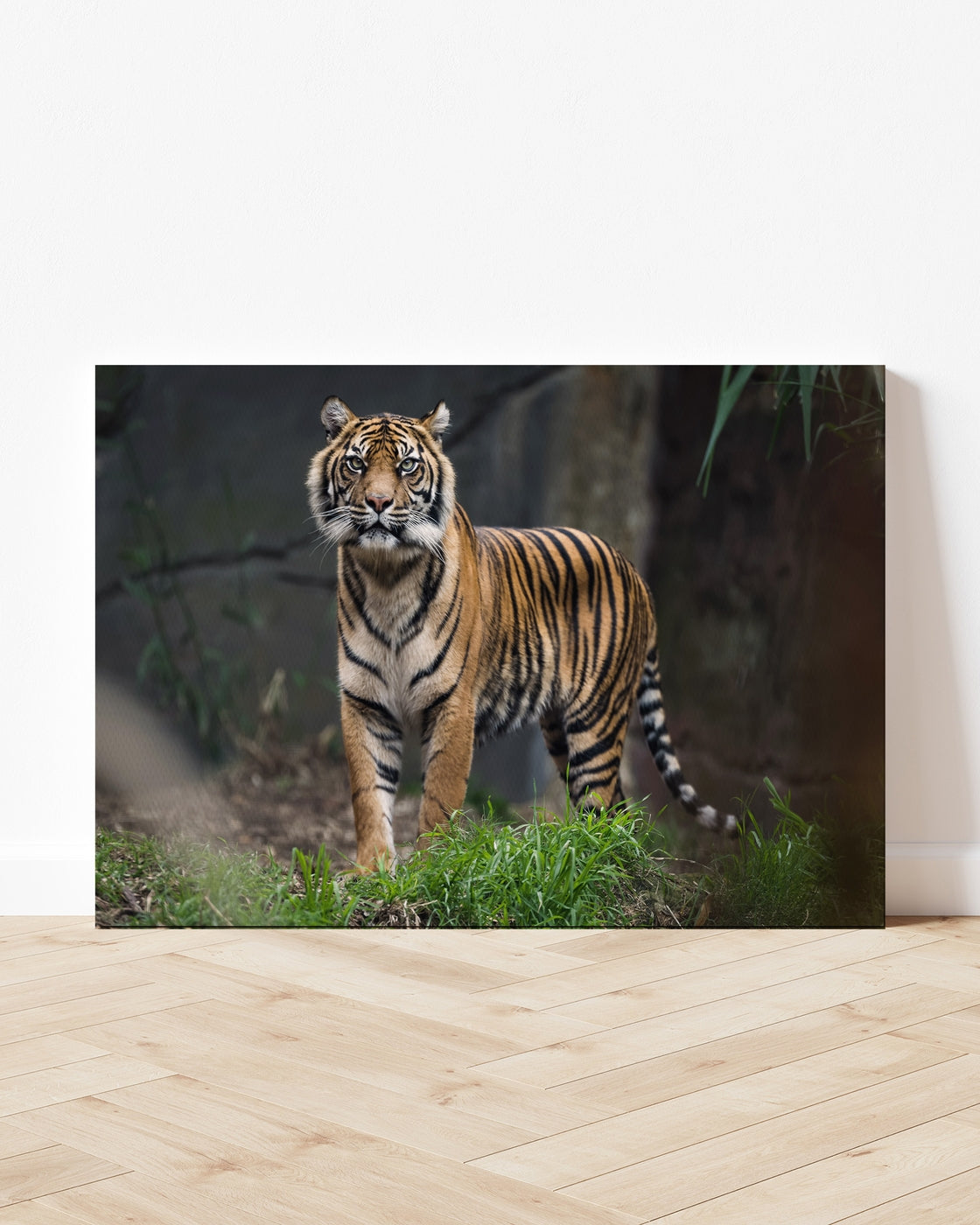 stretched-canvas