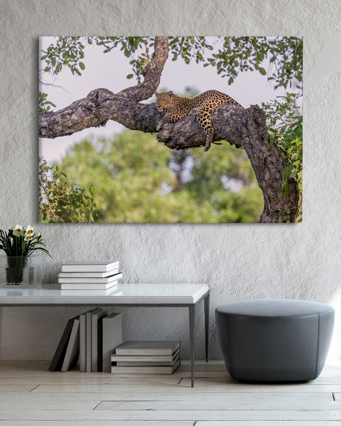 stretched-canvas