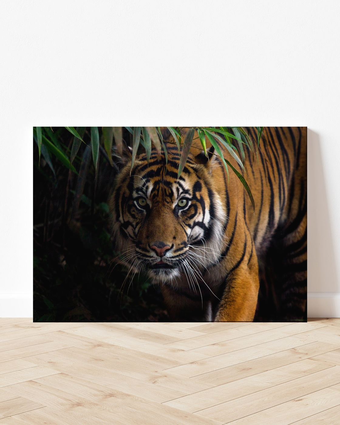 stretched-canvas