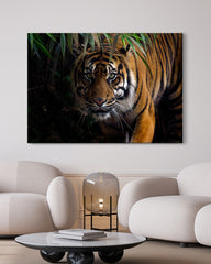 After Hover: Tiger