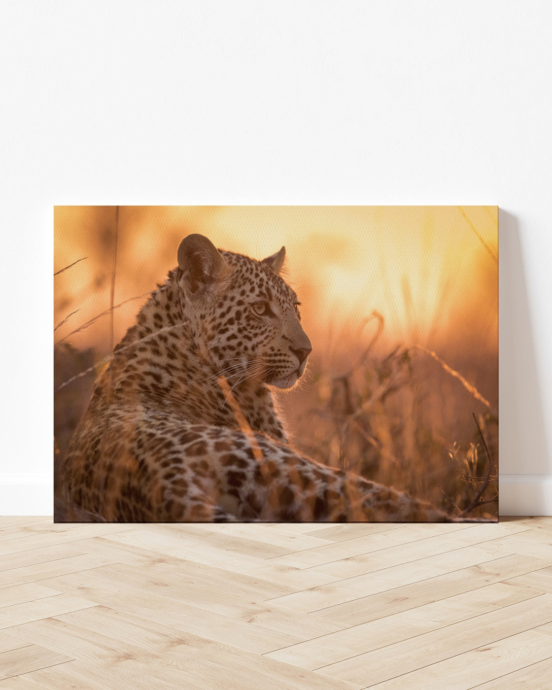 stretched-canvas