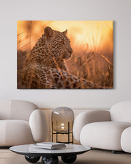 After Hover: Leopard in der Savanne Afrikas