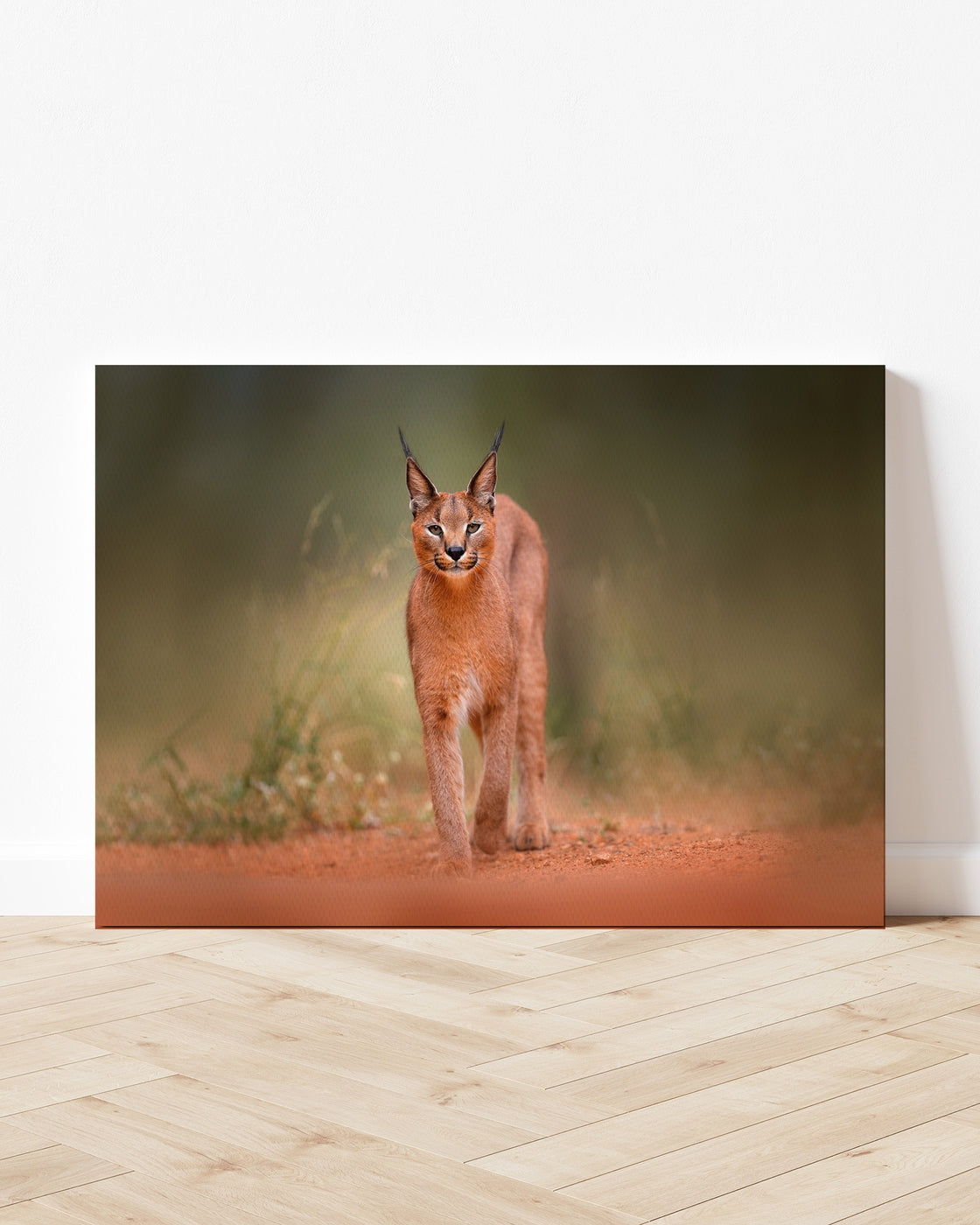 stretched-canvas