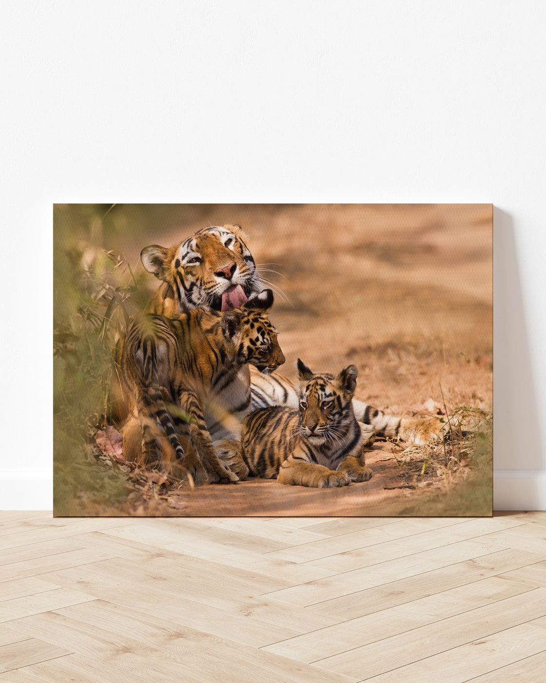 stretched-canvas
