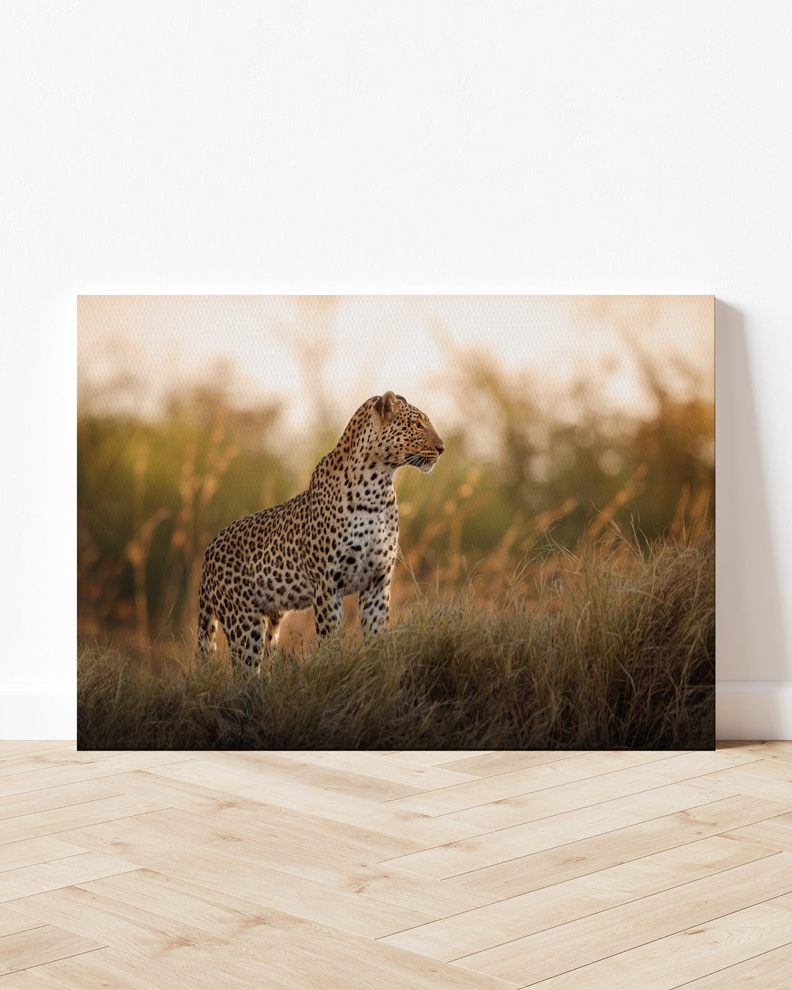 stretched-canvas