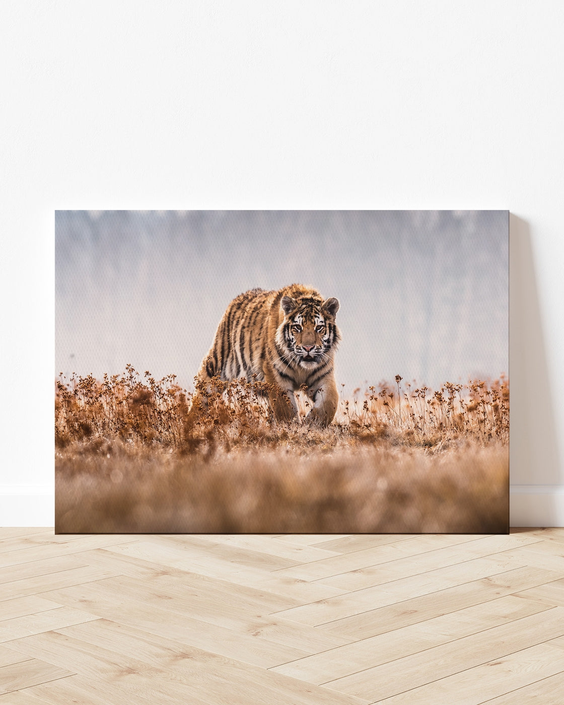 stretched-canvas