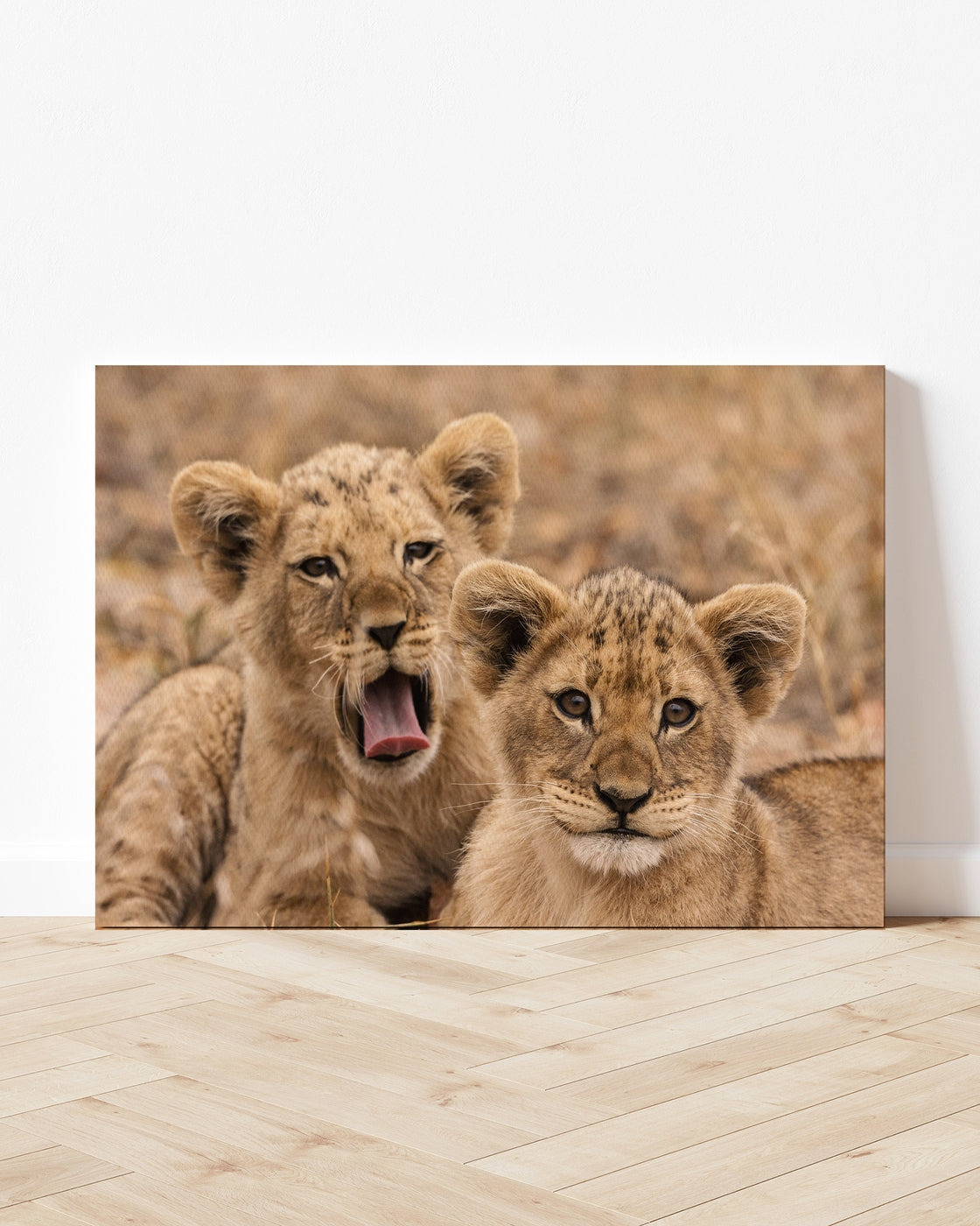 stretched-canvas
