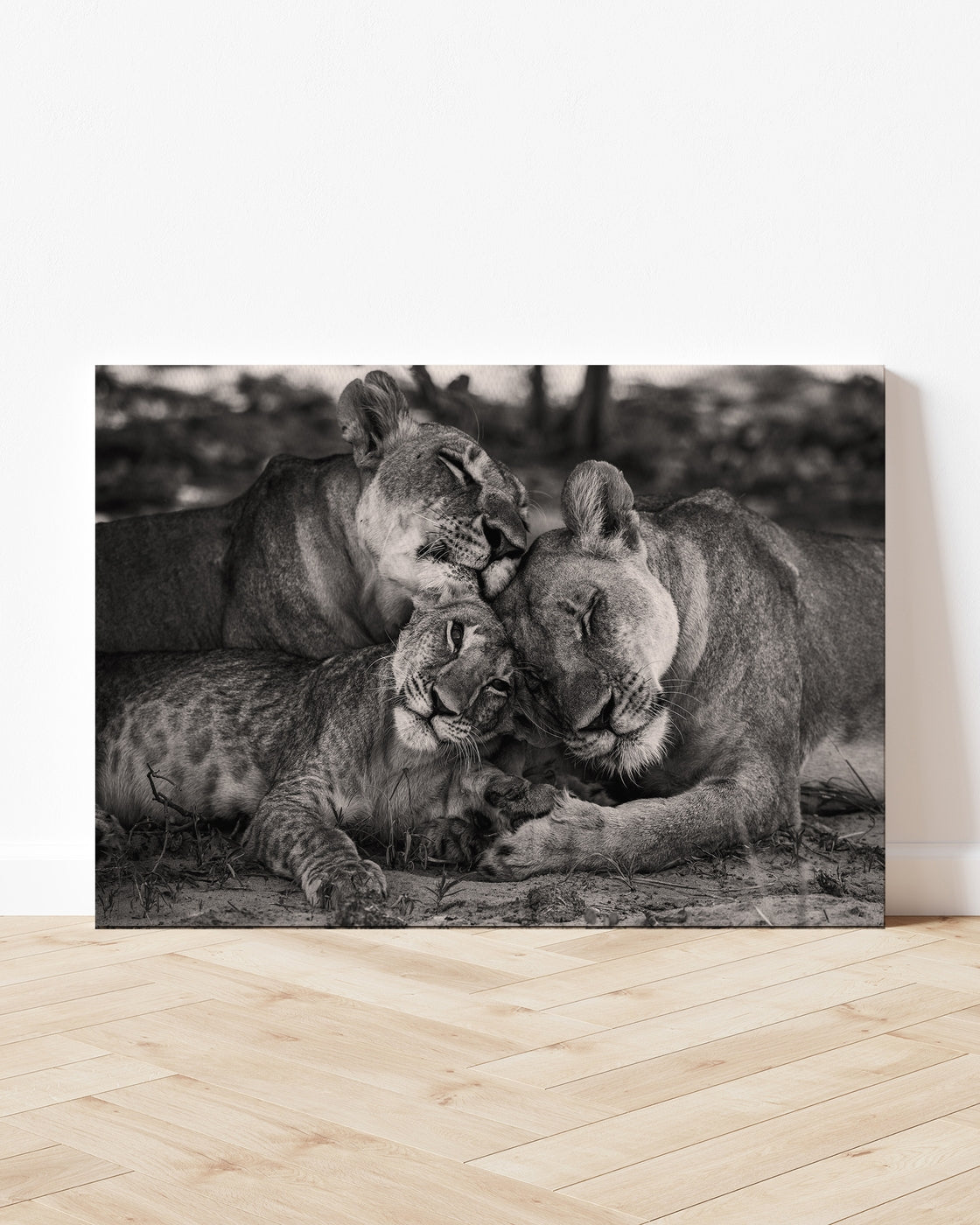 stretched-canvas