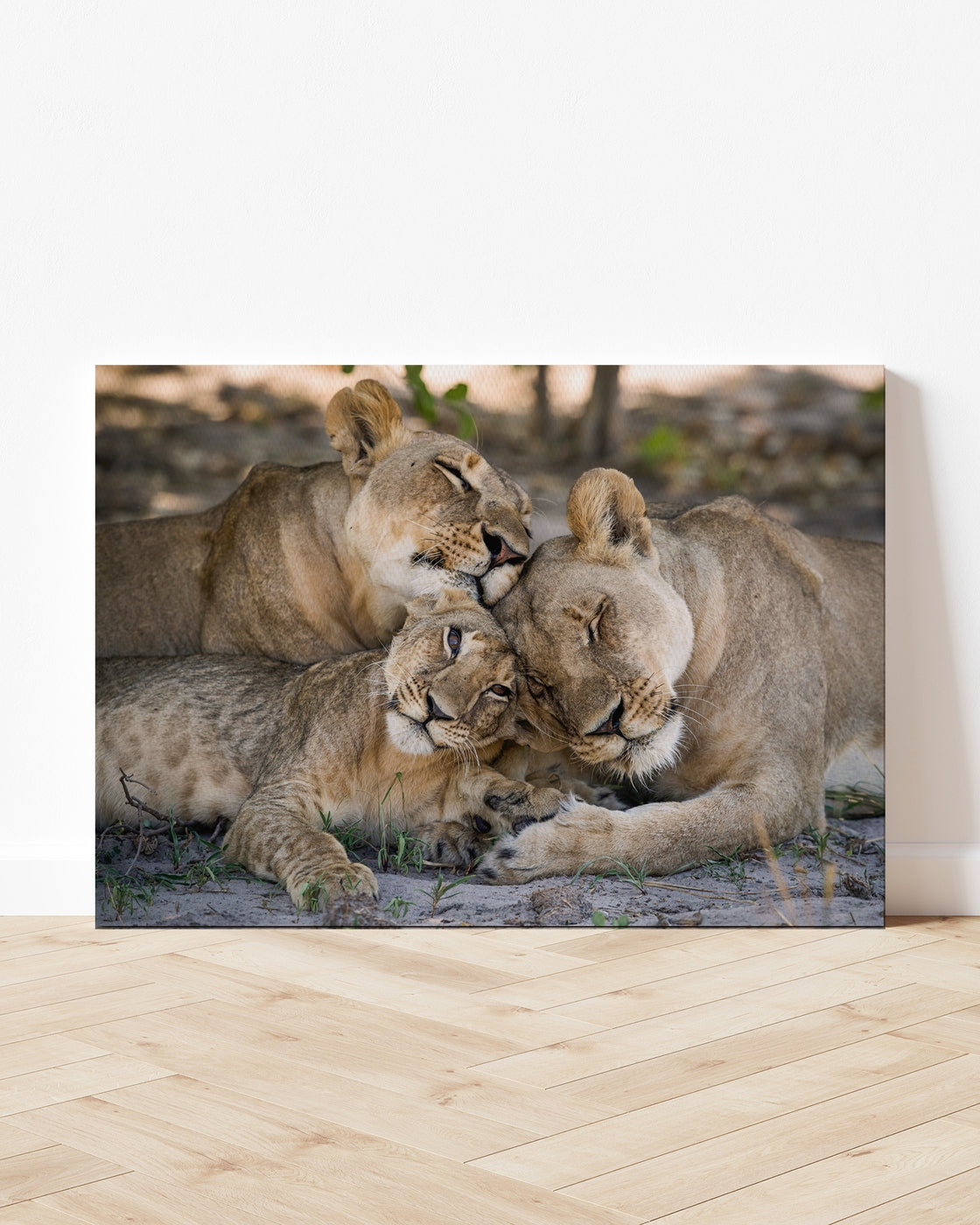 stretched-canvas