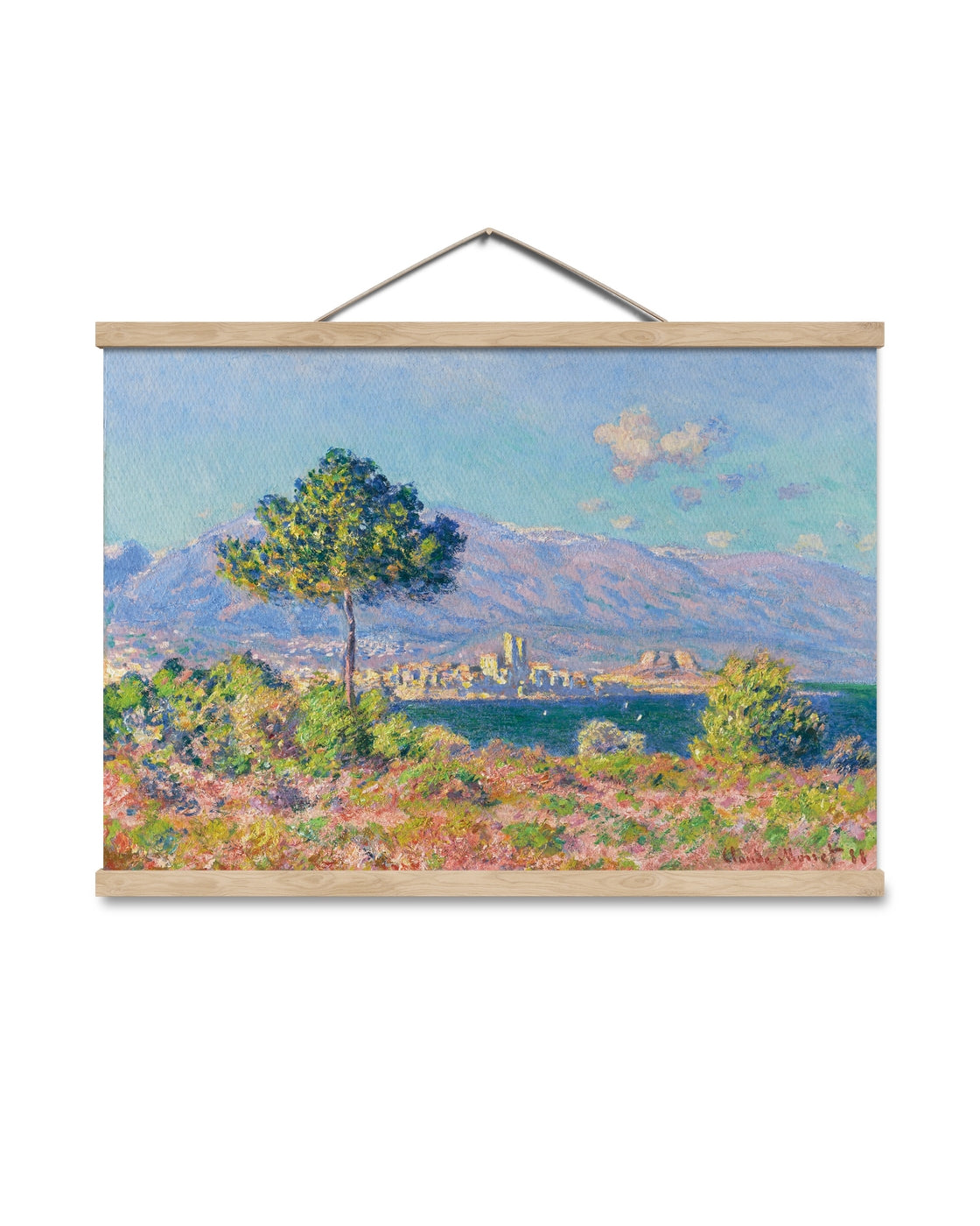 canvas