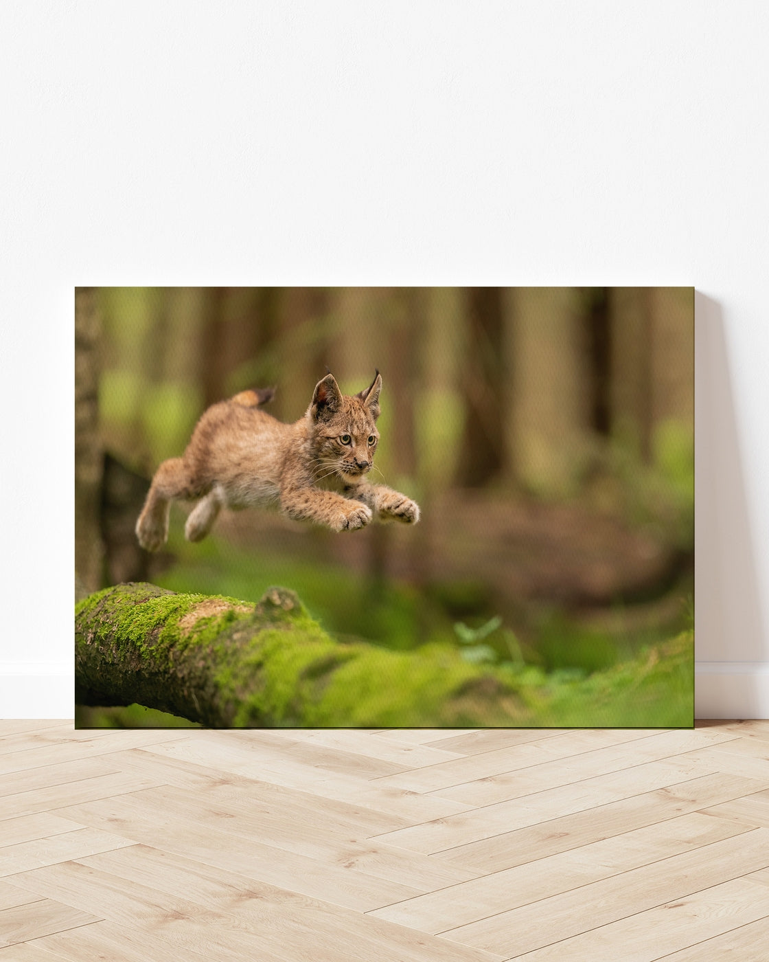 stretched-canvas
