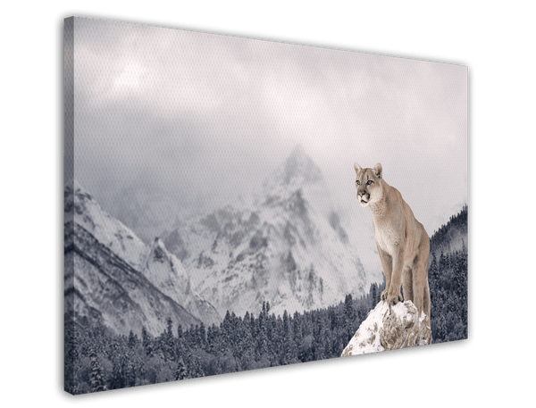 Puma in Berglandschaft